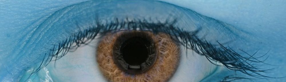 angelika stein-thelen kommunikation