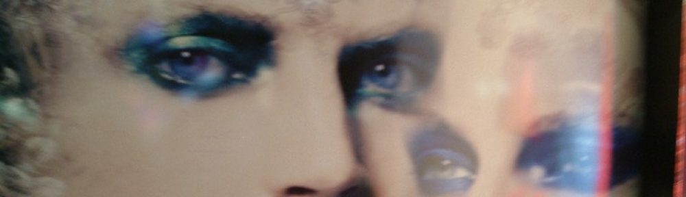 angelika stein-thelen kommunikation